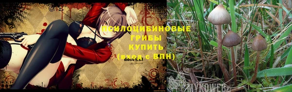 гидропоника Армянск