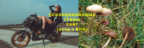 спайс Балахна