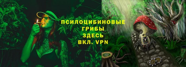 ПСИЛОЦИБИНОВЫЕ ГРИБЫ Покачи